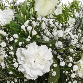 Florist Choice