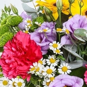 Florist Choice