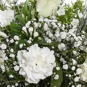 Florist Choice