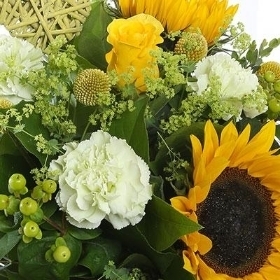 Florist Choice