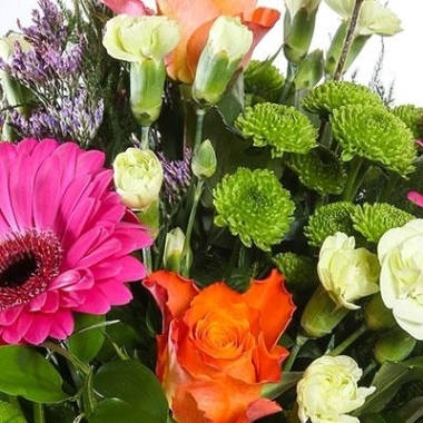Florist Choice